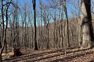 0 Sassafras Ct, Jasper, GA 30143 - Photo 1