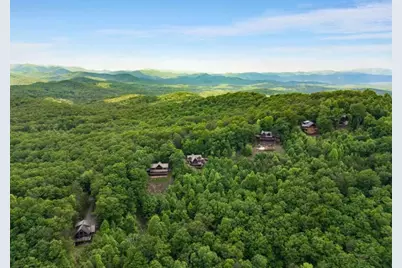 231 Sunrock Mountain Trail, Blue Ridge, GA 30513 - Photo 59