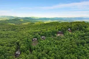 231 Sunrock Mountain Trl, Blue Ridge, GA 30513 - Photo 59