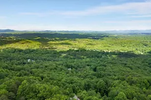 231 Sunrock Mountain Trl, Blue Ridge, GA 30513 - Photo 61