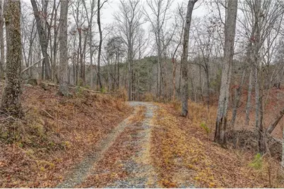 Lot5 Purvis Road, Baldwin, GA 30511 - Photo 5