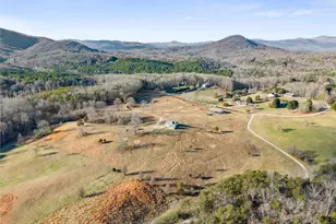 552 Vista View Pl, Cleveland, GA 30528 - Photo 61