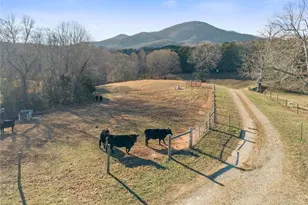 552 Vista View Pl, Cleveland, GA 30528 - Photo 73