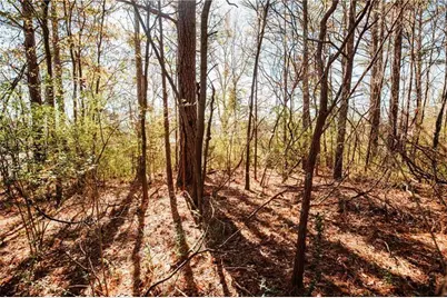 00 Bill Carruth Parkway, Hiram, GA 30141 - Photo 7