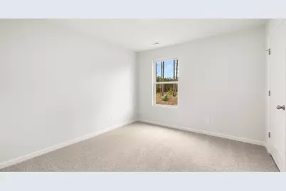 62 Capital Court, Braselton, GA 30517 - Photo 17