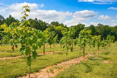 119 Inland Drive, Talking Rock, GA 30175 - Photo 11