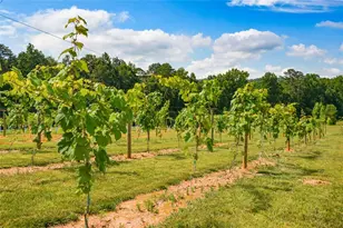 119 Inland Dr, Talking Rock, GA 30175 - Photo 11