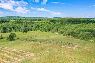 119 Inland Dr, Talking Rock, GA 30175 - Photo 13