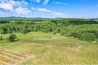 119 Inland Drive, Talking Rock, GA 30175 - Photo 13