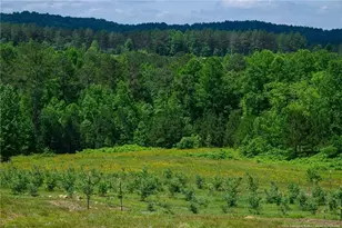 119 Inland Dr, Talking Rock, GA 30175 - Photo 9