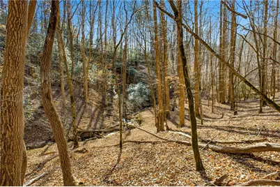 0 Captain McDonald Rd, Dahlonega, GA 30533 - Photo 7