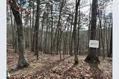 113 Ash Court, Waleska, GA 30183 - Photo 3