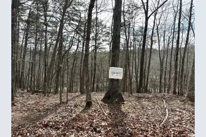 113 Ash Court, Waleska, GA 30183 - Photo 3