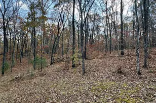 1012 King Mill Rd, McDonough, GA 30252 - Photo 49