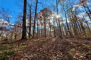 1012 King Mill Rd, McDonough, GA 30252 - Photo 45