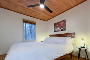 315 Mystic Ln, Blue Ridge, GA 30513 - Photo 19