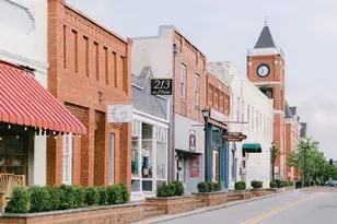 34 Persian Ivy Way, Dallas, GA 30132 - Photo 33