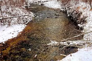 227 Fir Ln, Ellijay, GA 30540 - Photo 51