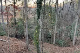 1685 Hwy 54 E E, Fayetteville, GA 30214 - Photo 41