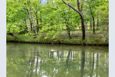 133 Muller Lane, Ellijay, GA 30540 - Photo 63