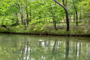 133 Muller Ln, Ellijay, GA 30540 - Photo 63