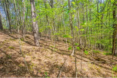 0 Lake Esther Drive, Fairburn, GA 30213 - Photo 7