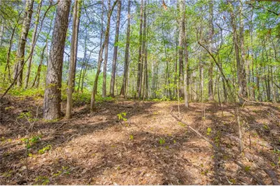 0 Lake Esther Drive, Fairburn, GA 30213 - Photo 5