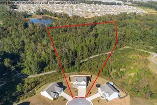 1171 Bodega Loop, Locust Grove, GA 30248 - Photo 53