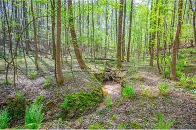 0 Lake Esther Drive, Fairburn, GA 30213 - Photo 3