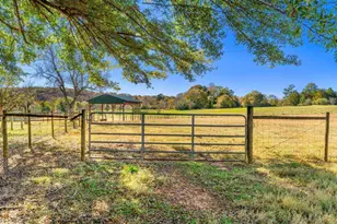 1319 Bethlehem Rd, Statham, GA 30666 - Photo 19