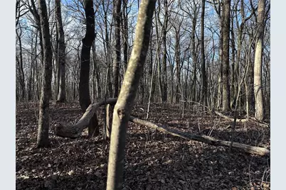 183 St Andrews Way, Ellijay, GA 30536 - Photo 7