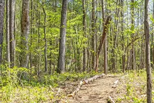 280 Winterberry Wy, Roswell, GA 30075 - Photo 17