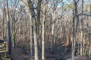 549 Eagles Nest Trail, Ball Ground, GA 30107 - Photo 27