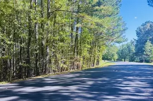 0 Williamson Rd, Tallapoosa, GA 30176 - Photo 1