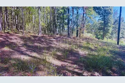 0 Williamson Road, Tallapoosa, GA 30176 - Photo 5