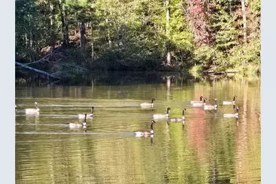 6509 Lily Trail, Fairburn, GA 30213 - Photo 113