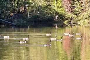 6509 Lily Trail, Fairburn, GA 30213 - Photo 113