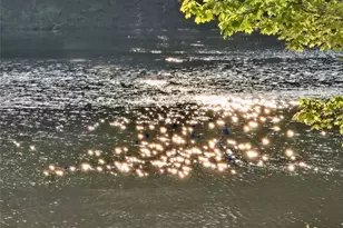 6509 Lily Trail, Fairburn, GA 30213 - Photo 73