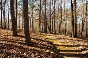 150 Highlands Forest Ln, Oxford, GA 30054 - Photo 61