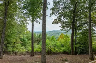 2191 Old Hwy 5, Blue Ridge, GA 30513 - Photo 3