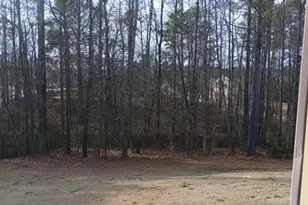 307 Cinnamon Bark Pass, Locust Grove, GA 30248 - Photo 5