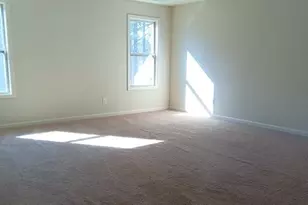 307 Cinnamon Bark Pass, Locust Grove, GA 30248 - Photo 23