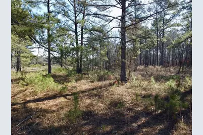 300 Old Social Circle Road, Mansfield, GA 30055 - Photo 13