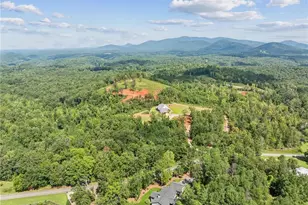 305 Wilkie Rd, Ball Ground, GA 30107 - Photo 37