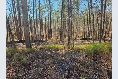 0 Glenn Road NE, Conyers, GA 30013 - Photo 3