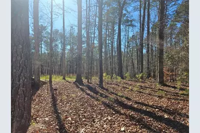 0 Glenn Road NE, Conyers, GA 30013 - Photo 5