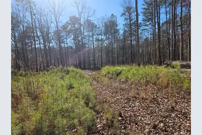 0 Glenn Road NE, Conyers, GA 30013 - Photo 1