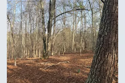 1573 Norris Lake Way, Snellville, GA 30039 - Photo 3