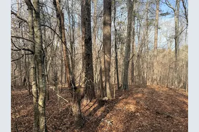 1573 Norris Lake Way, Snellville, GA 30039 - Photo 5