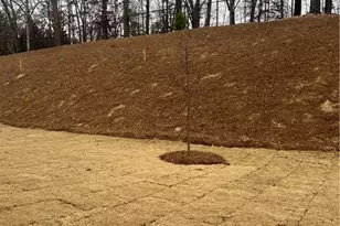 5877 Cabernet Ln, Braselton, GA 30517 - Photo 93